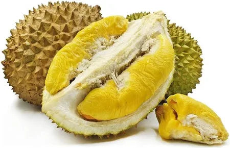 Durian Whole – Der exotischste Schatz Asiens